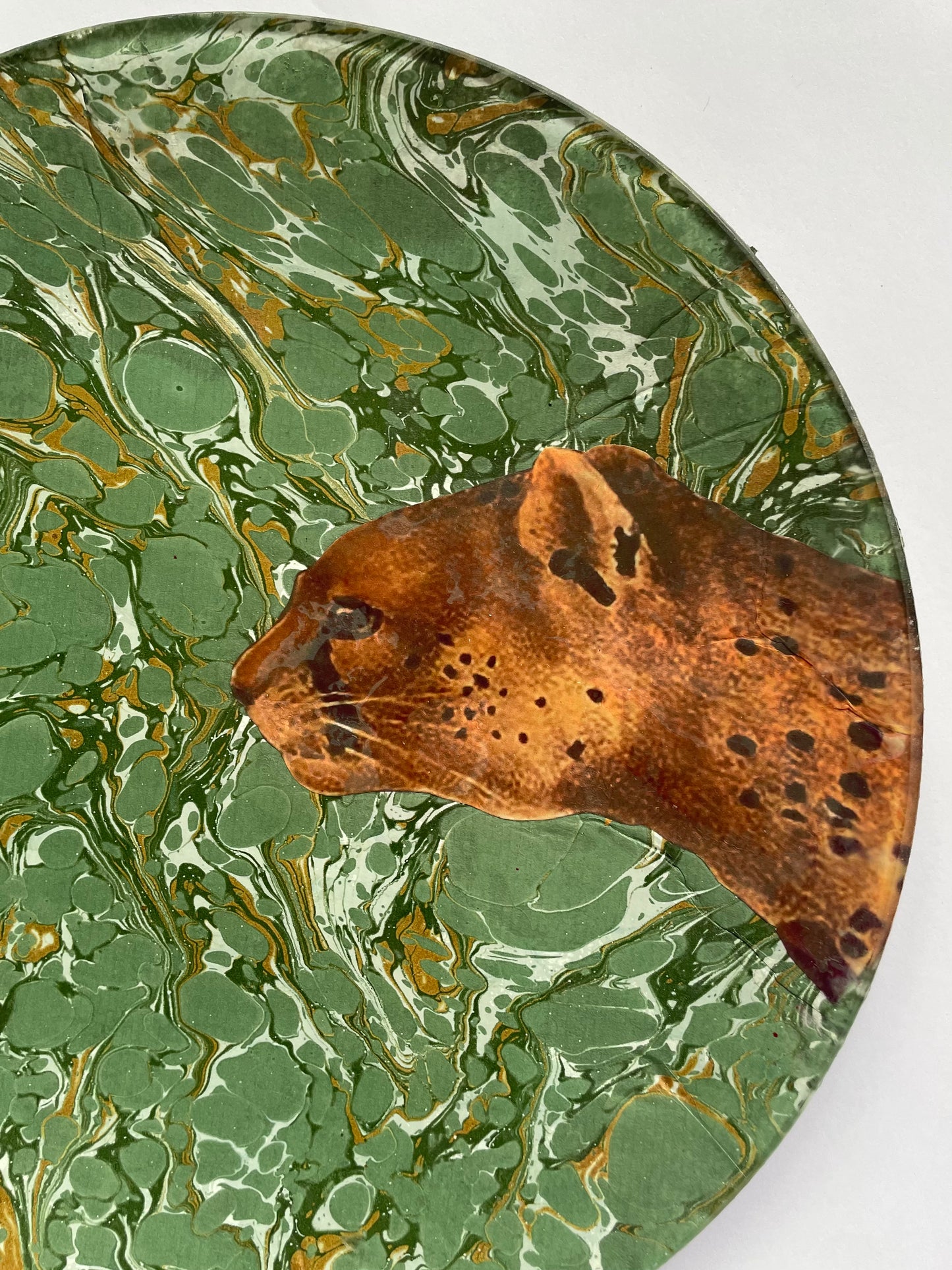 piatto tondo in vetro "panthera pardus"