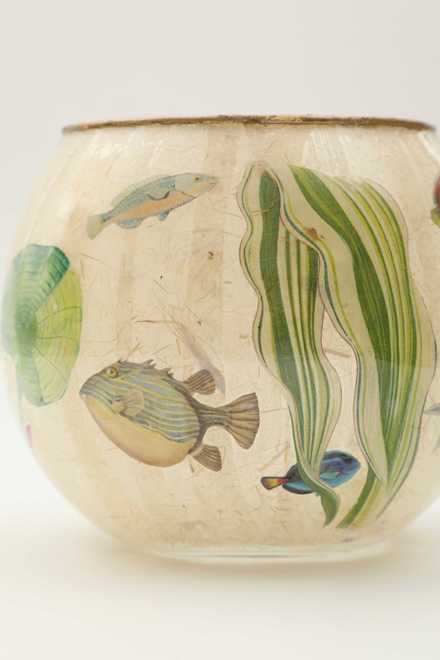 Vaso o Lanterna "stagnum"