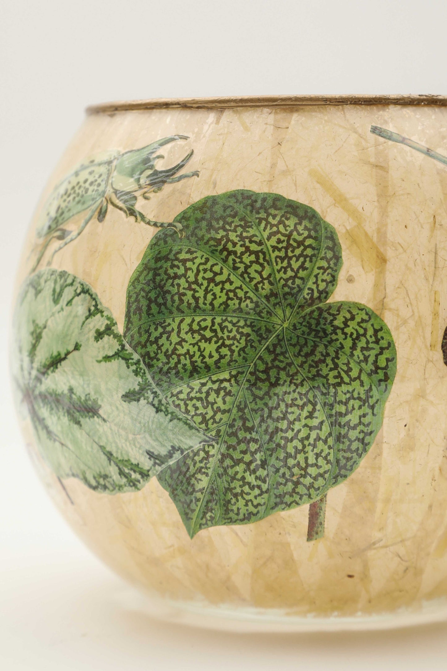 Vaso o Lanterna "folium"