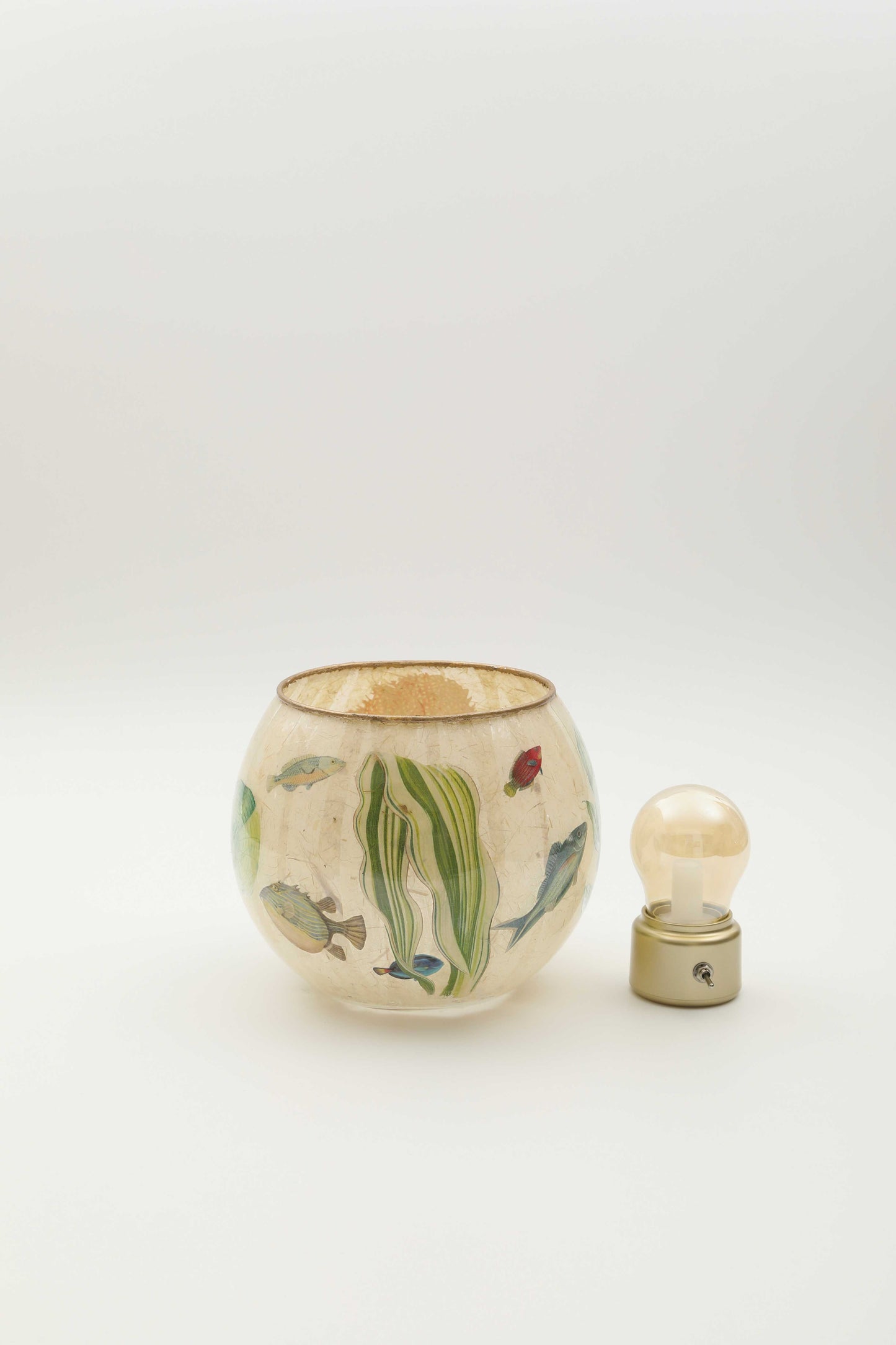 Vaso o Lanterna "stagnum"