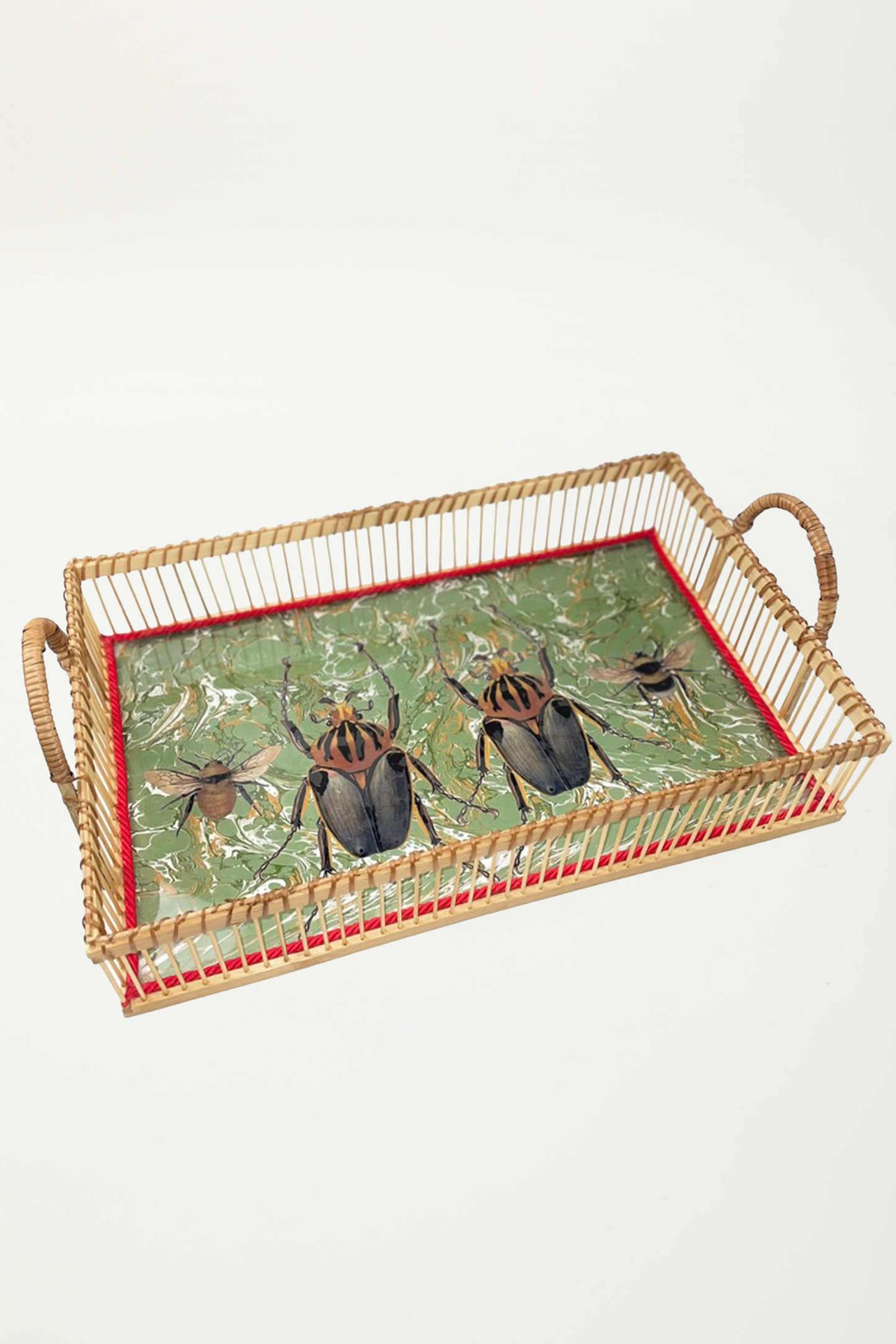 vassoio " coleoptera "